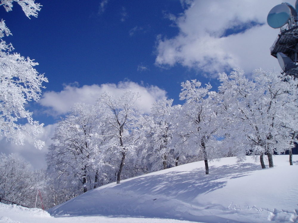 Lodge Matsuya Nozawaonsen Exterior photo